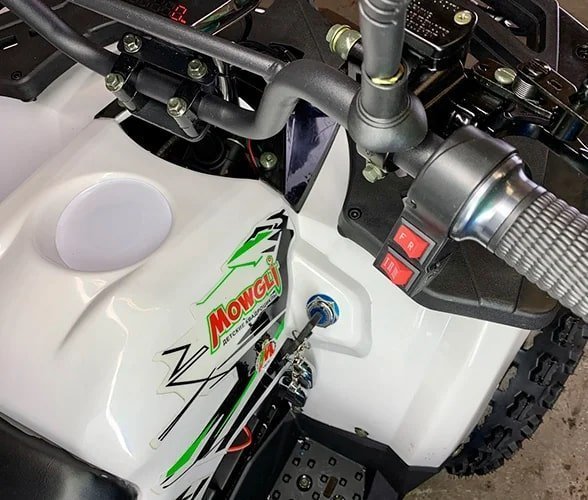 MOWGLI E-HARDY 8+ 1000W