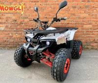 MOWGLI E-HARDY 8+ 1000W