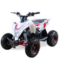 MOTAX Gekkon 90 cc