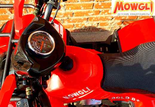 MOWGLI BOLD 8+