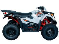 KAYO AU300 EFI (белый пластик 2024 г.) (ПТС)