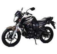 Motoland BANDIT 300