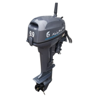 Альфа CG T9.9 BWS