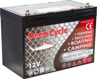 Тяговый аккумулятор Marine Deep Cycle AGM 90Ah 12V (6FM90TD-X)