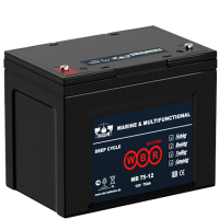 Тяговый аккумулятор WBR MB75-12