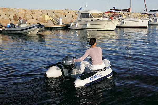 Лодочный мотор Yamaha F 2.5 BMHS