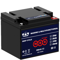 Тяговый аккумулятор WBR MB40-12