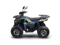 Avantis Ray 8 Premium