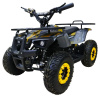 MOTAX Grizlik Х16 E1000