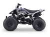 Sharmax Razer Race Cup 250