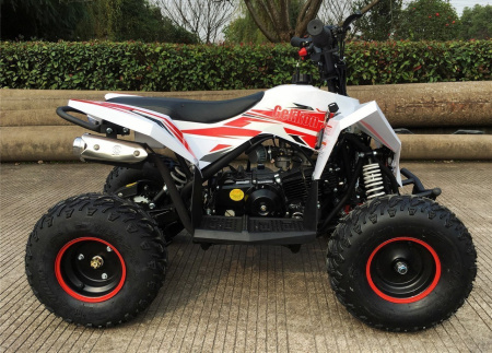 MOTAX Gekkon 90 cc