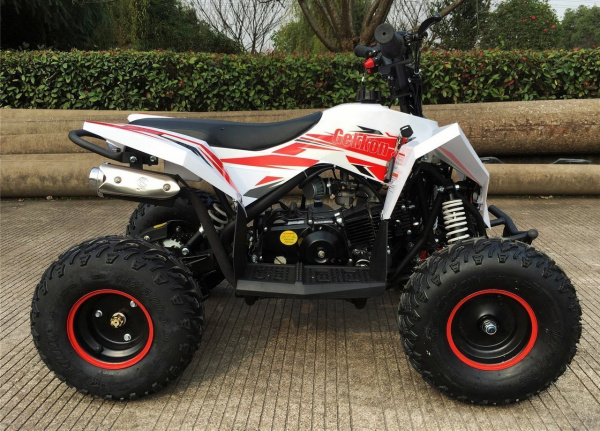 MOTAX Gekkon 90 cc