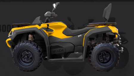 Hisun GUARDIAN 400L -LONG