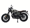 Motoland TEXAS 300