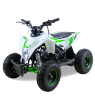 MOTAX Gekkon 90 cc