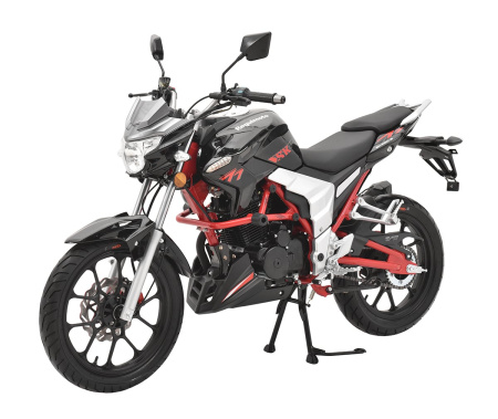 Regulmoto Raptor new