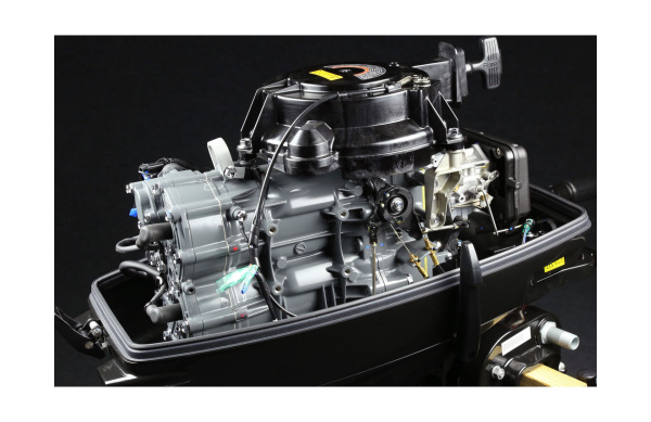Лодочный мотор Suzuki DT 40 WL2