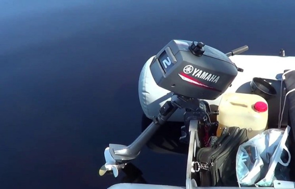 Лодочный мотор Yamaha 2 DMHS