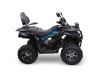 Avantis Forester Long 200 Premium