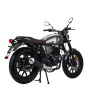 Motoland TEXAS 300