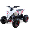 MOTAX Gekkon 90 cc