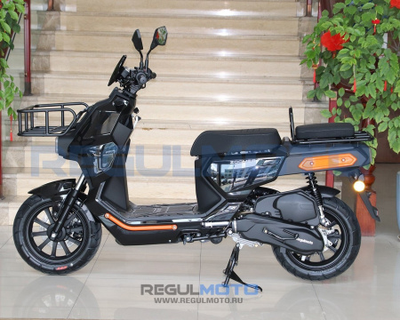 Regulmoto Zoomer