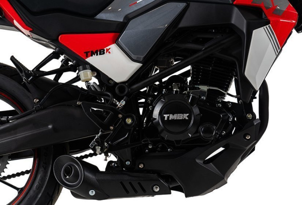 TMBK MONTANA  250 (165FMM)  эптс