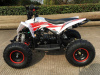 MOTAX Gekkon 90 cc