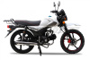 ROCKOT ALPHA OFFROAD M-12