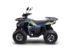 Avantis Ray 8 Premium