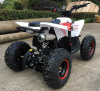 MOTAX Gekkon 90 cc