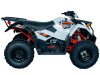 KAYO AU300 EFI (белый пластик 2024 г.) (ПТС)