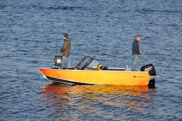 Катер Realcraft 500 / Realcraft 500 Fish