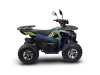 Avantis Ray 8 Premium