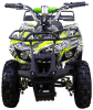 Avantis ATV Classic 800w электрический
