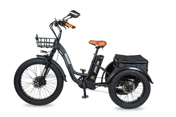 Электроцикл Minako Trike