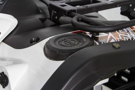 Baltmotors Striker 500 EFI