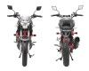 Regulmoto Raptor new
