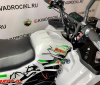 MOWGLI E-HARDY 8+ 1000W