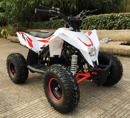 MOTAX Gekkon 90 cc