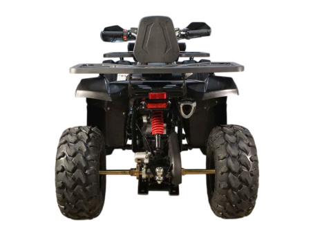 Avantis Hunter 200 NEW Premium