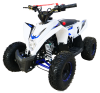 MOTAX Gekkon 90 cc