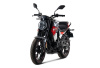 TMBK MONTANA  250 (165FMM)  эптс