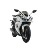 Motoland R1 300