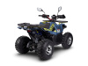 Avantis Ray 8 Premium