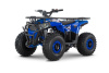 Wels Trail 125