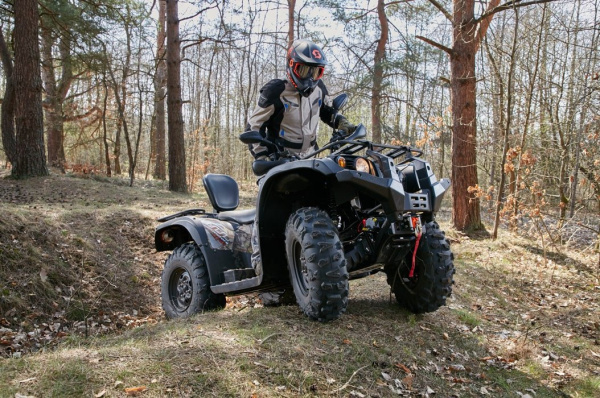 Baltmotors Striker 700 EFI
