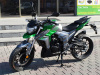 Regulmoto T-Leopard 300