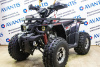 Avantis Hunter 8 New Premium